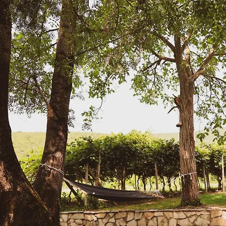 Vikendica Antonio 度假居