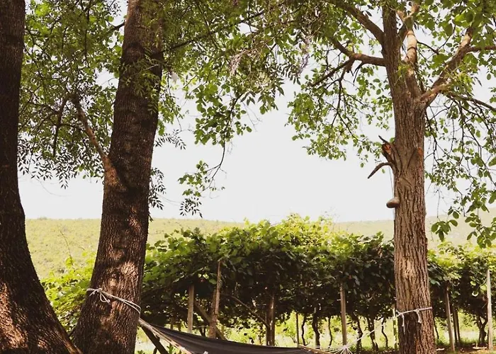 Vikendica Antonio בית נופש